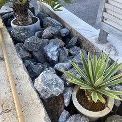 ドライガーデン(本部石)の画像