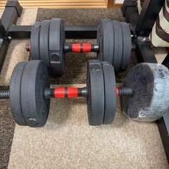 懸垂マシンとダンベルの画像