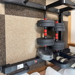 懸垂マシンとダンベルの画像