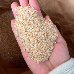 彩のきずな　玄米　新米　30キロ　⑨の画像