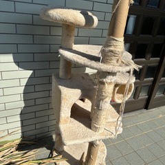 中古キャットタワーの画像