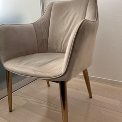ダイニングチェア【東京インテリア】の画像