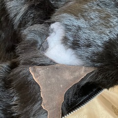 コート　破れありの画像