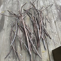 いちじくガーデニング大量 薪 枝 挿木の画像