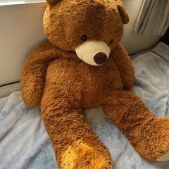 くまのぬいぐるみの画像