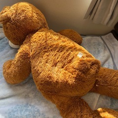 くまのぬいぐるみの画像