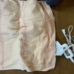 電気毛布の画像