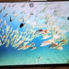 panasonic TV-65W90A【２・３回使用】本体とリモコンのみ　スタンドなしの画像