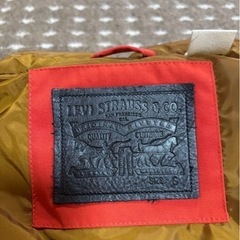 リーバスダウンの画像