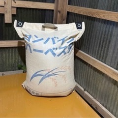 令和7年11月初旬収穫　早い者勝ち⑤の画像