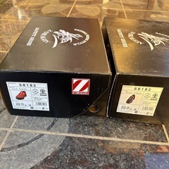 Z-DRAGON セイフィティーシューズ の画像