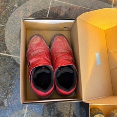 Z-DRAGON セイフィティーシューズ の画像