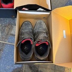 Z-DRAGON セイフィティーシューズ の画像