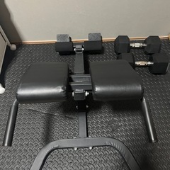 バックエクステンション（ローマンベンチ）の画像