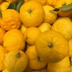 柚子(花柚子)20個➕オマケ  500円(2名決まり)の画像