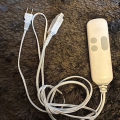 電気毛布の画像