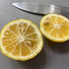 柚子(花柚子)20個➕オマケ  500円(2名決まり)の画像