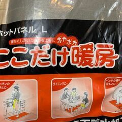 Panasonic ホットパネルL DC-PF4 2023年製 動作確認済みの画像