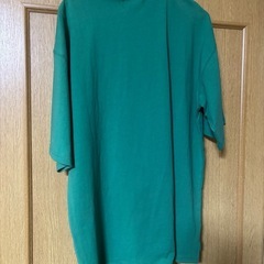 ガルフィーTシャツ 中型犬の画像