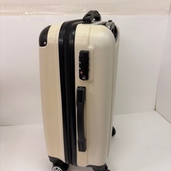 No.115キャリーバッグSサイズ　ホワイトの画像