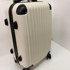 No.115キャリーバッグSサイズ　ホワイトの画像