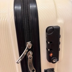 No.115キャリーバッグSサイズ　ホワイトの画像