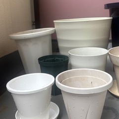 植木鉢　11点　の画像