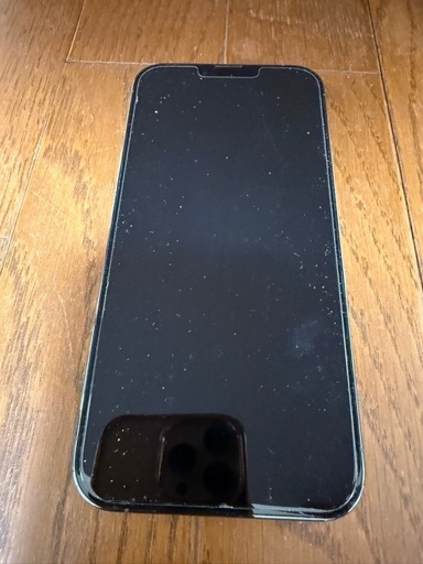 【美品】　iPhone13 Pro Maxシエラブルー 256GB SIMフリー