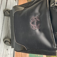 スワニー制御老人向けキャスターサイドキャリーの画像