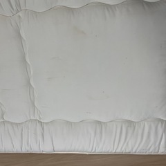 ニトリ 敷ふとんの画像