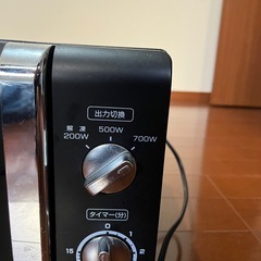 電車レンジの画像