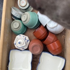 【無料】大量のお皿の画像