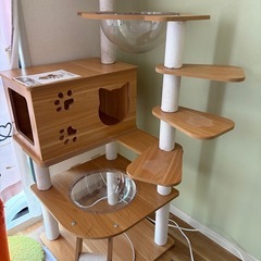 キャットタワーの画像