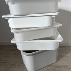 トロファスト　の画像