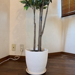 フェイク観葉植物の画像