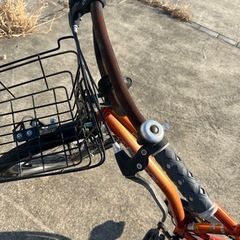 子供自転車 DRIDE ドライド 22インチ     の画像