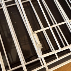 キャットケージの画像