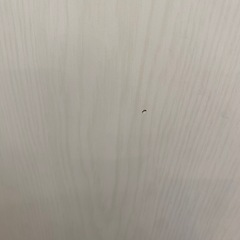 折りたたみテーブルの画像