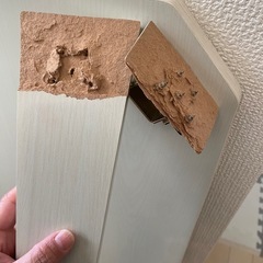 折りたたみテーブルの画像