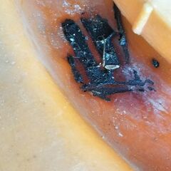 農業用500Lタンク  貯水 ローリータンクの画像