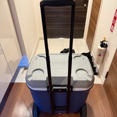 Colemanクーラーボックス61.5Lの画像