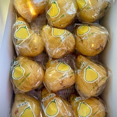 ①
新潟県央産 ル・レクチェ 2個の画像