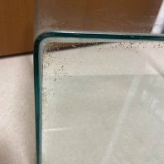 45㎝全面曲げガラス水槽　GEX上部フィルター付の画像