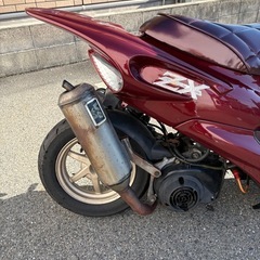 ライブディオ  zx仕様の画像