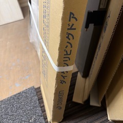 DAIKENリビングドア本体のみの画像