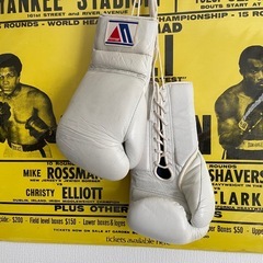 winningポクシンググローブの画像