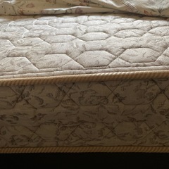 【沢山の問い合わせありがとうございました。一旦終了】ダブルベットの画像