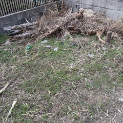 枯れ木・枯れ草あげますの画像