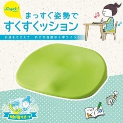 【新品】キッズ　姿勢強制クッションの画像