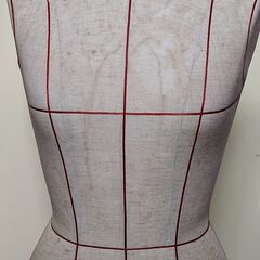 トルソー 女性用 レディース ボディの画像